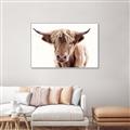 Picture of Maggie, the Cow  _GroupedProduct_Rectangle_Landscape_Photography _GroupedProduct_Rectangle_Landscape_Canvas_Framed_