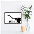 Picture of Max, the Bull _GroupedProduct_Rectangle_Landscape_Photography _GroupedProduct_Rectangle_Landscape_Canvas_Framed_