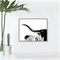 Picture of Max, the Bull _GroupedProduct_Rectangle_Landscape_Photography _GroupedProduct_Rectangle_Landscape_Canvas_Framed_