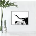 Picture of Max, the Bull _GroupedProduct_Rectangle_Landscape_Photography _GroupedProduct_Rectangle_Landscape_Canvas_Framed_