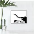 Picture of Max, the Bull _GroupedProduct_Rectangle_Landscape_Photography _GroupedProduct_Rectangle_Landscape_Canvas_Framed_