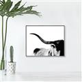Picture of Max, the Bull _GroupedProduct_Rectangle_Landscape_Photography _GroupedProduct_Rectangle_Landscape_Canvas_Framed_