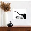 Picture of Max, the Bull _GroupedProduct_Rectangle_Landscape_Photography _GroupedProduct_Rectangle_Landscape_Canvas_Framed_
