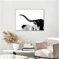 Picture of Max, the Bull _GroupedProduct_Rectangle_Landscape_Photography _GroupedProduct_Rectangle_Landscape_Canvas_Framed_