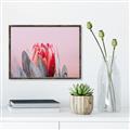 Picture of Mid Bloom _GroupedProduct_Rectangle_Landscape_Photography _GroupedProduct_Rectangle_Landscape_Canvas_Framed_