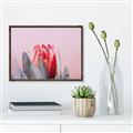 Picture of Mid Bloom _GroupedProduct_Rectangle_Landscape_Photography _GroupedProduct_Rectangle_Landscape_Canvas_Framed_