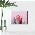 Picture of Mid Bloom _GroupedProduct_Rectangle_Landscape_Photography _GroupedProduct_Rectangle_Landscape_Canvas_Framed_