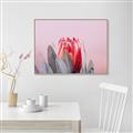 Picture of Mid Bloom _GroupedProduct_Rectangle_Landscape_Photography _GroupedProduct_Rectangle_Landscape_Canvas_Framed_