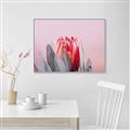 Picture of Mid Bloom _GroupedProduct_Rectangle_Landscape_Photography _GroupedProduct_Rectangle_Landscape_Canvas_Framed_