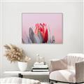Picture of Mid Bloom _GroupedProduct_Rectangle_Landscape_Photography _GroupedProduct_Rectangle_Landscape_Canvas_Framed_
