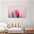Picture of Mid Bloom _GroupedProduct_Rectangle_Landscape_Photography _GroupedProduct_Rectangle_Landscape_Canvas_Framed_