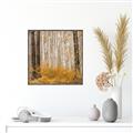 Picture of Mustard Forest _GroupedProduct_Square_Photography _GroupedProduct_Square_Canvas_Framed_