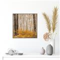Picture of Mustard Forest _GroupedProduct_Square_Photography _GroupedProduct_Square_Canvas_Framed_