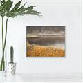Picture of Mustard Grass Lake _GroupedProduct_Rectangle_Landscape_Photography _GroupedProduct_Rectangle_Landscape_Canvas_Framed_