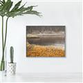 Picture of Mustard Grass Lake _GroupedProduct_Rectangle_Landscape_Photography _GroupedProduct_Rectangle_Landscape_Canvas_Framed_