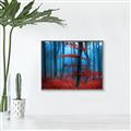 Picture of Mysterious Woods  _GroupedProduct_Rectangle_Landscape_Photography _GroupedProduct_Rectangle_Landscape_Canvas_Framed_