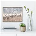 Picture of Oh Deer  _GroupedProduct_Rectangle_Landscape_Photography _GroupedProduct_Rectangle_Landscape_Canvas_Framed_