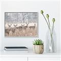 Picture of Oh Deer  _GroupedProduct_Rectangle_Landscape_Photography _GroupedProduct_Rectangle_Landscape_Canvas_Framed_