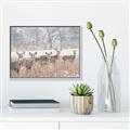 Picture of Oh Deer  _GroupedProduct_Rectangle_Landscape_Photography _GroupedProduct_Rectangle_Landscape_Canvas_Framed_
