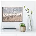 Picture of Oh Deer  _GroupedProduct_Rectangle_Landscape_Photography _GroupedProduct_Rectangle_Landscape_Canvas_Framed_