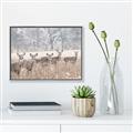 Picture of Oh Deer  _GroupedProduct_Rectangle_Landscape_Photography _GroupedProduct_Rectangle_Landscape_Canvas_Framed_