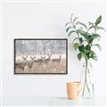 Picture of Oh Deer  _GroupedProduct_Rectangle_Landscape_Photography _GroupedProduct_Rectangle_Landscape_Canvas_Framed_