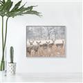 Picture of Oh Deer  _GroupedProduct_Rectangle_Landscape_Photography _GroupedProduct_Rectangle_Landscape_Canvas_Framed_