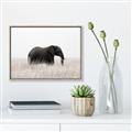 Picture of Out of Africa  _GroupedProduct_Rectangle_Landscape_Photography _GroupedProduct_Rectangle_Landscape_Canvas_Framed_
