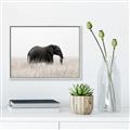 Picture of Out of Africa  _GroupedProduct_Rectangle_Landscape_Photography _GroupedProduct_Rectangle_Landscape_Canvas_Framed_
