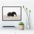 Picture of Out of Africa  _GroupedProduct_Rectangle_Landscape_Photography _GroupedProduct_Rectangle_Landscape_Canvas_Framed_