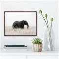 Picture of Out of Africa  _GroupedProduct_Rectangle_Landscape_Photography _GroupedProduct_Rectangle_Landscape_Canvas_Framed_