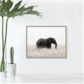 Picture of Out of Africa  _GroupedProduct_Rectangle_Landscape_Photography _GroupedProduct_Rectangle_Landscape_Canvas_Framed_