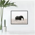 Picture of Out of Africa  _GroupedProduct_Rectangle_Landscape_Photography _GroupedProduct_Rectangle_Landscape_Canvas_Framed_