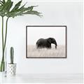 Picture of Out of Africa  _GroupedProduct_Rectangle_Landscape_Photography _GroupedProduct_Rectangle_Landscape_Canvas_Framed_