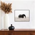 Picture of Out of Africa  _GroupedProduct_Rectangle_Landscape_Photography _GroupedProduct_Rectangle_Landscape_Canvas_Framed_