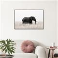 Picture of Out of Africa  _GroupedProduct_Rectangle_Landscape_Photography _GroupedProduct_Rectangle_Landscape_Canvas_Framed_