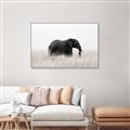 Picture of Out of Africa  _GroupedProduct_Rectangle_Landscape_Photography _GroupedProduct_Rectangle_Landscape_Canvas_Framed_