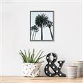 Picture of Palm Trees  _GroupedProduct_Rectangle_Portrait_Photography _GroupedProduct_Rectangle_Portrait_Canvas_Framed_