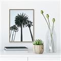 Picture of Palm Trees  _GroupedProduct_Rectangle_Portrait_Photography _GroupedProduct_Rectangle_Portrait_Canvas_Framed_