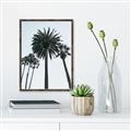 Picture of Palm Trees  _GroupedProduct_Rectangle_Portrait_Photography _GroupedProduct_Rectangle_Portrait_Canvas_Framed_