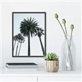 Picture of Palm Trees  _GroupedProduct_Rectangle_Portrait_Photography _GroupedProduct_Rectangle_Portrait_Canvas_Framed_