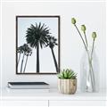 Picture of Palm Trees  _GroupedProduct_Rectangle_Portrait_Photography _GroupedProduct_Rectangle_Portrait_Canvas_Framed_