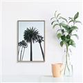 Picture of Palm Trees  _GroupedProduct_Rectangle_Portrait_Photography _GroupedProduct_Rectangle_Portrait_Canvas_Framed_