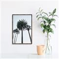 Picture of Palm Trees  _GroupedProduct_Rectangle_Portrait_Photography _GroupedProduct_Rectangle_Portrait_Canvas_Framed_