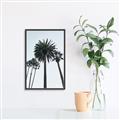 Picture of Palm Trees  _GroupedProduct_Rectangle_Portrait_Photography _GroupedProduct_Rectangle_Portrait_Canvas_Framed_