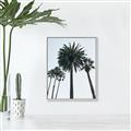 Picture of Palm Trees  _GroupedProduct_Rectangle_Portrait_Photography _GroupedProduct_Rectangle_Portrait_Canvas_Framed_