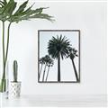 Picture of Palm Trees  _GroupedProduct_Rectangle_Portrait_Photography _GroupedProduct_Rectangle_Portrait_Canvas_Framed_