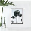 Picture of Palm Trees  _GroupedProduct_Rectangle_Portrait_Photography _GroupedProduct_Rectangle_Portrait_Canvas_Framed_