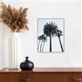 Picture of Palm Trees  _GroupedProduct_Rectangle_Portrait_Photography _GroupedProduct_Rectangle_Portrait_Canvas_Framed_