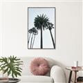 Picture of Palm Trees  _GroupedProduct_Rectangle_Portrait_Photography _GroupedProduct_Rectangle_Portrait_Canvas_Framed_